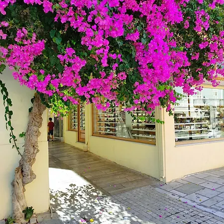 Levantes Superior Suite. Nafplio