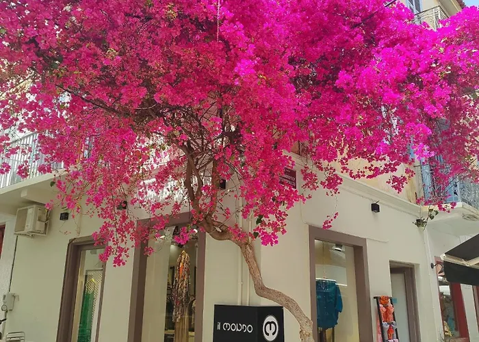 Apartamento Levantes Superior Suite. Náuplia